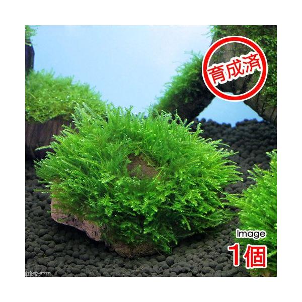 ij琬ρ@EB[X@n΁itji_jiPj