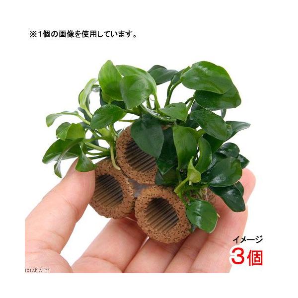 ijCt}`ijiiv`Re[WitjiRj