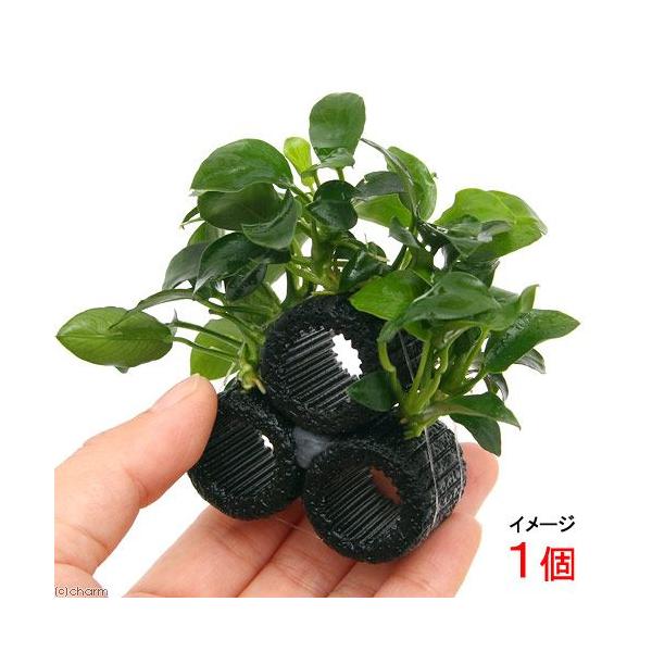 ij}`OubNijiiv`Re[WitjiPj