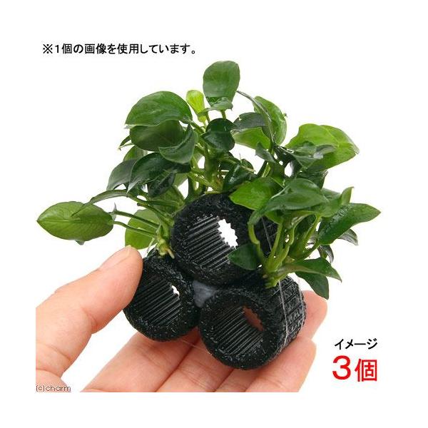 ij}`OubNijiiv`Re[WitjiRj