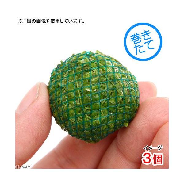 ijā@p[OX{[itji_jiRj