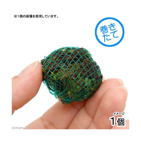 ijā@xgiN[o[{[itji_jiPj