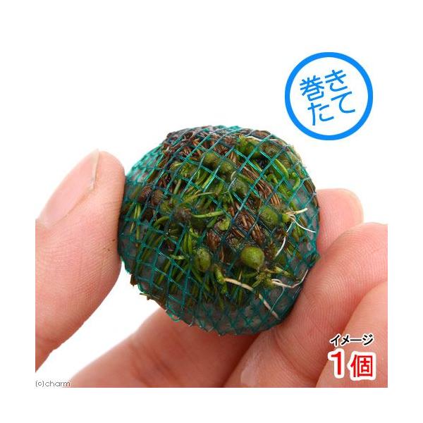 ijā@Ni^{[itji_jiPj