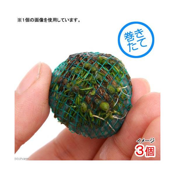 ijā@Ni^{[itji_jiRj