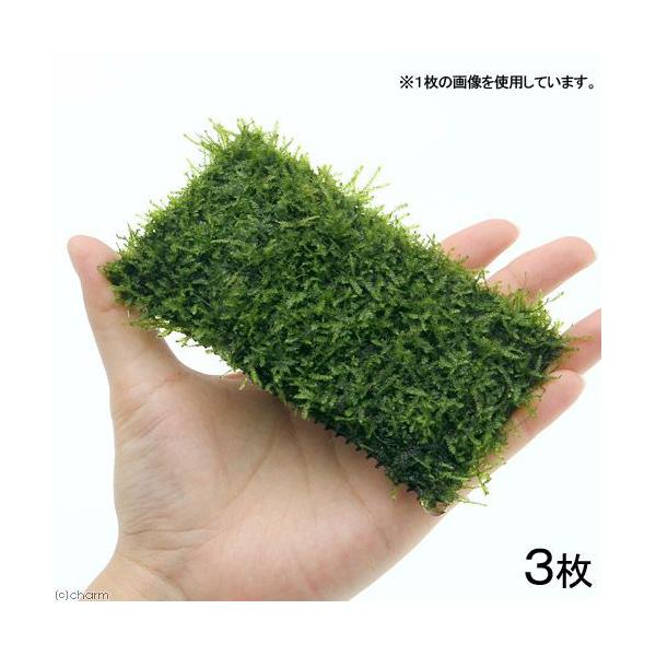 ij琬ρ@EB[X@NbVitji_jiRj