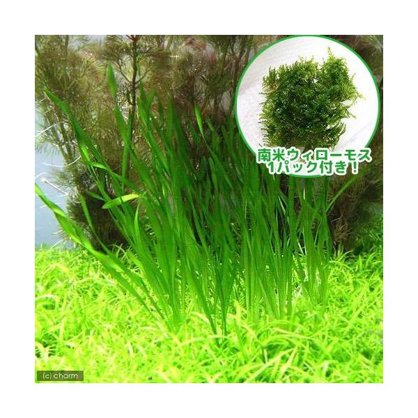 ijăEB[XXN[oXlAitjiPZbgj