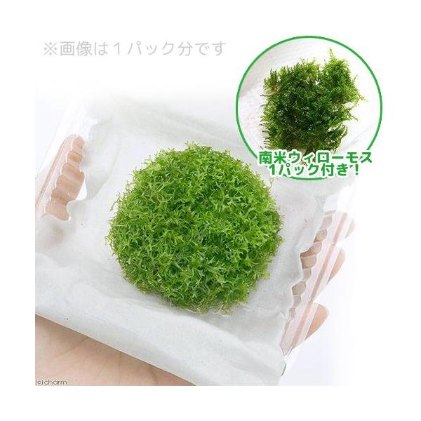 ijăEB[X[WVAitjiPZbgj@kCEBq֗vۉ