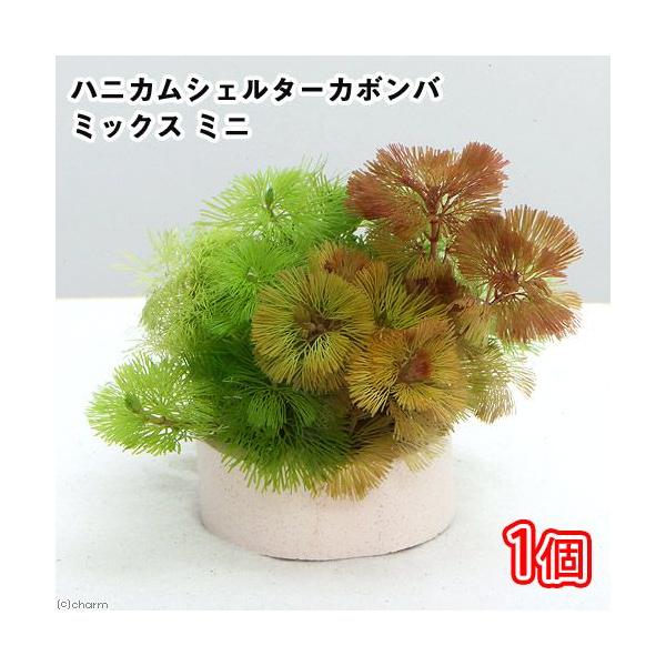 ij_JE@njJVF^[@J{o~bNX@~jiPj