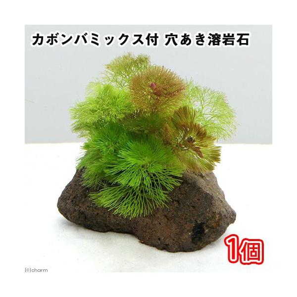 ij_JE@J{o~bNXt@n΁iPj