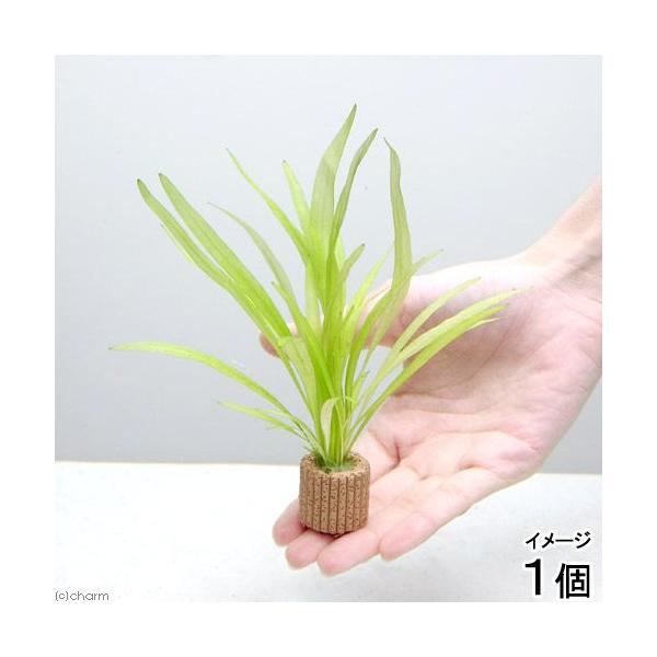 ijCt}`ij`F[A}]itji_jiPj