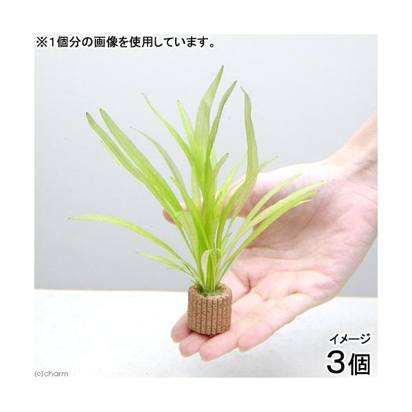 ijCt}`ij`F[A}]itji_jiRj