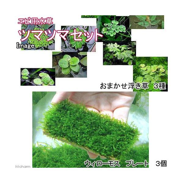 ijVv@c}c}Zbgitji_jiPZbgj