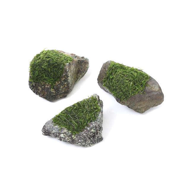 ijā@EB[X@~bNX@R΁@rrTCYiWȉjitji_jiRj