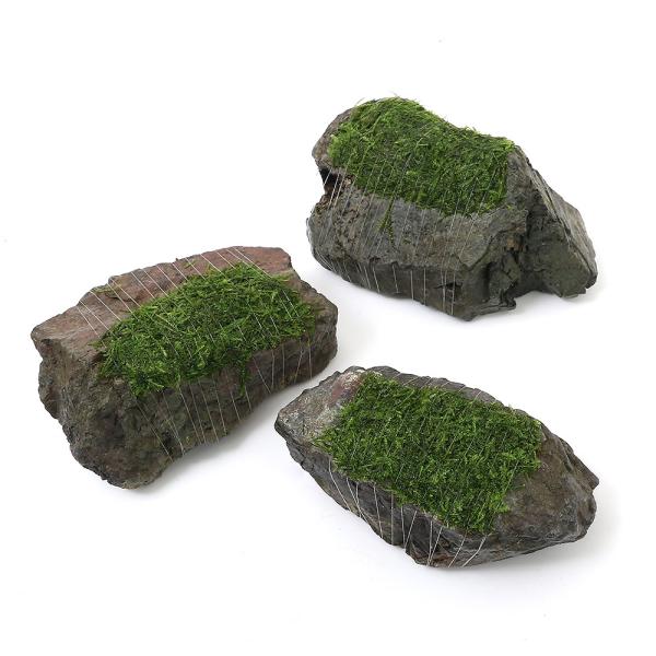 ijā@EB[X@~bNX@R΁@lTCYiPSjitji_jiPj