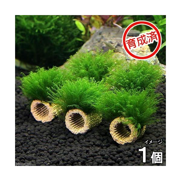 ij琬ρ@Ct}`ijEH[^[tFU[itji_jiPj