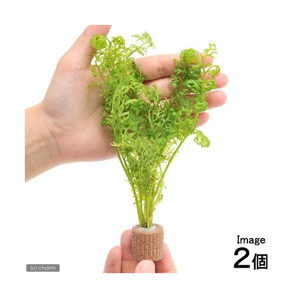 ijCt}`ijAJEH[^[XvCgitji_jiQj