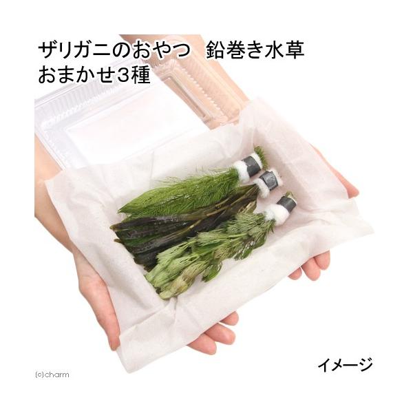 ijUKĵ@@܂Ri_jiPZbgjUKj