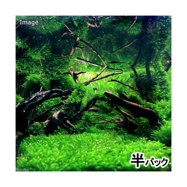 ijEH[^[tFU[itji_jipbNj