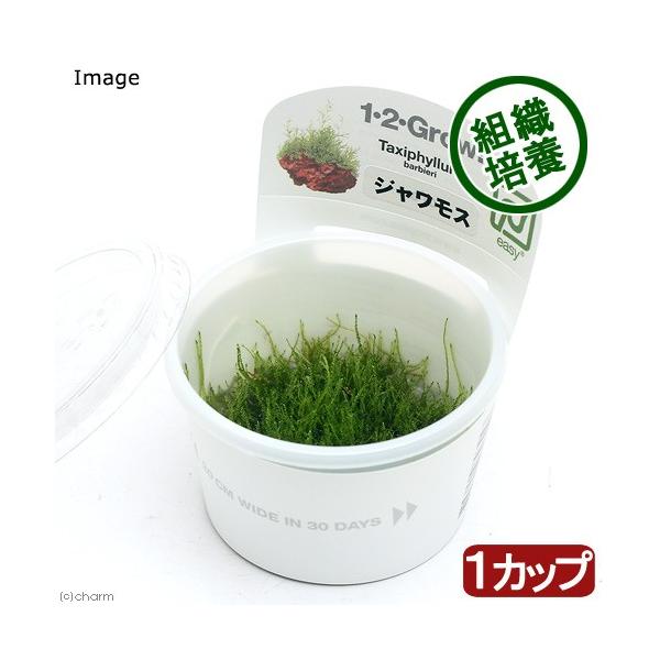 ijgD|{P|Q|fqnvI@WXit̔|njgsJi_jiPJbvj@kCEBq֗vۉ