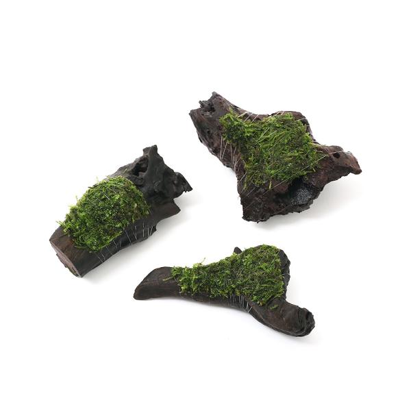 ijā@EB[X@~bNX@؁@rrTCYiPOjitji_jiP{j