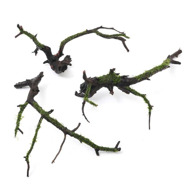 ijā@EB[X@~bNX@}󗬖؁@lTCYiQO`jitji_jiR{j