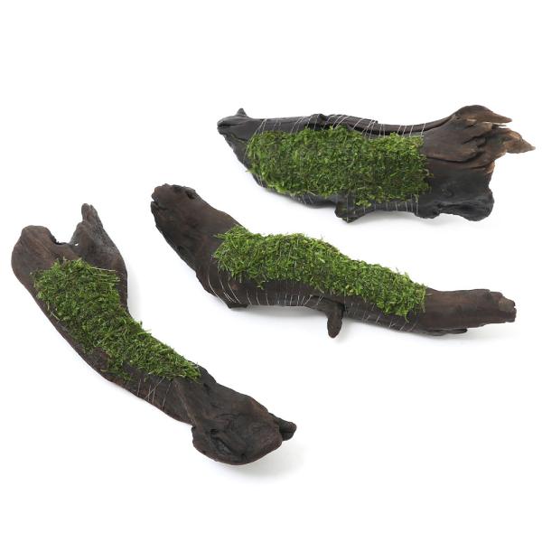 ijā@EB[X@~bNX@؁@lTCYiQOjitji_jiP{j