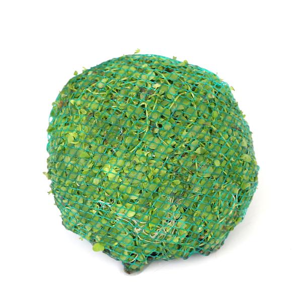 ijā@j[[Wp[OX@[@rTCYitji_jiPj