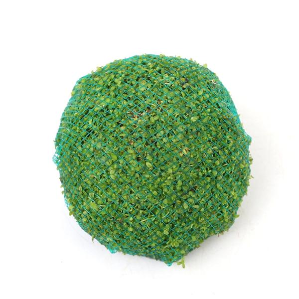 ijā@j[p[OX@[@rTCYitji_jiPj