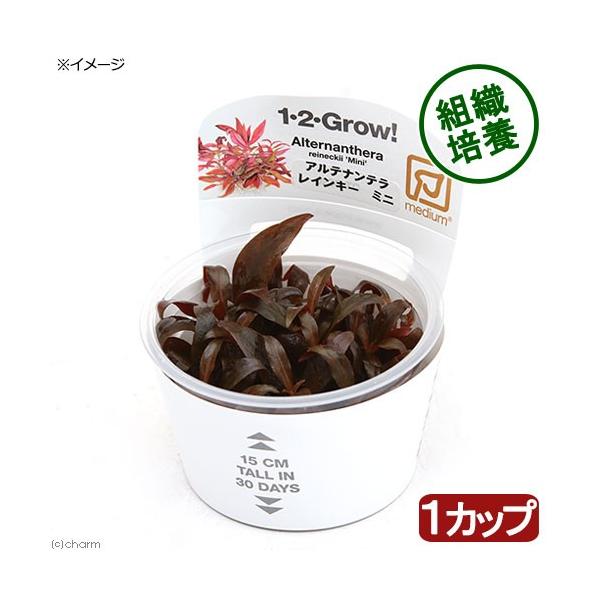 ijgD|{P|Q|fqnvI@Aeie@CL[@~j@gsJi_jiPJbvj@kCEBq֗vۉ