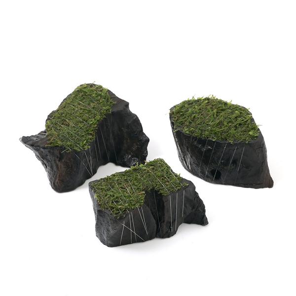 ijā@EB[X@؂芔؁@~jTCYitji_jiPj