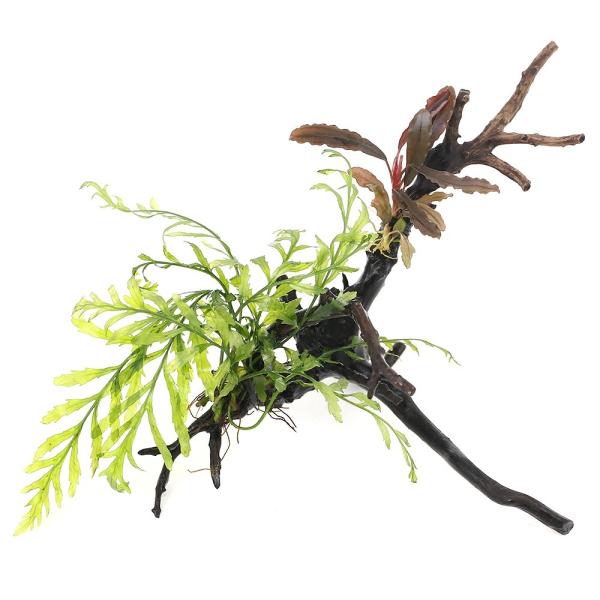 ijā@{reBX@qfBeB܂uZt@h@}󗬖؁@rTCYiPO`ji_jiP{j@kCq֗vۉ