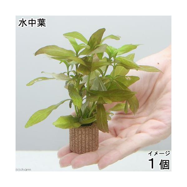 ijCt}`ijnCOtB@|Xy}itji_jiPj