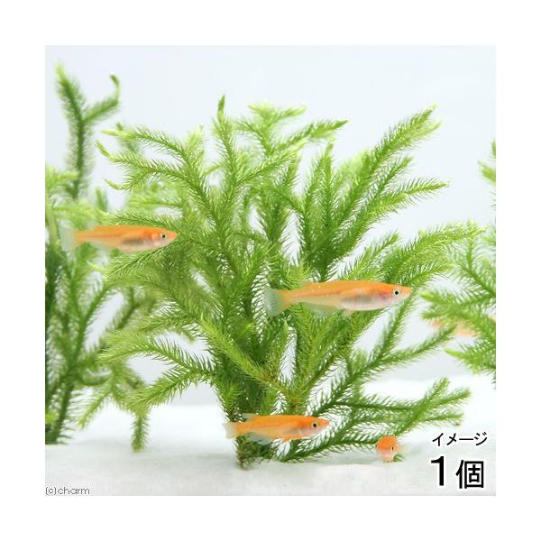 ij_J̎Yp@qJQmJYiAjtiPj̗@Y@B