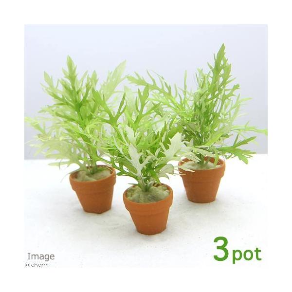 ijv`fĂ@EH[^[EBXeAitji_jiRj