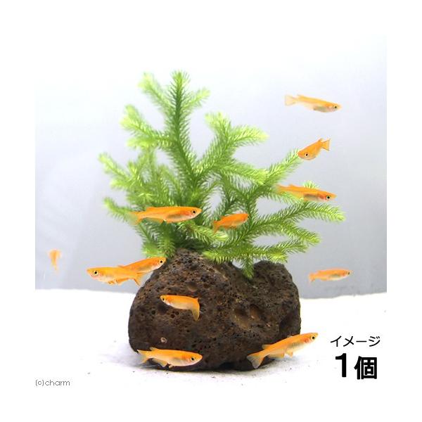 ij_J̎Yp@qJQmJYiAjn΁iPj