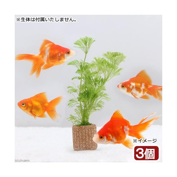 ij_JE@Ct}`ijAuAi_jiRj