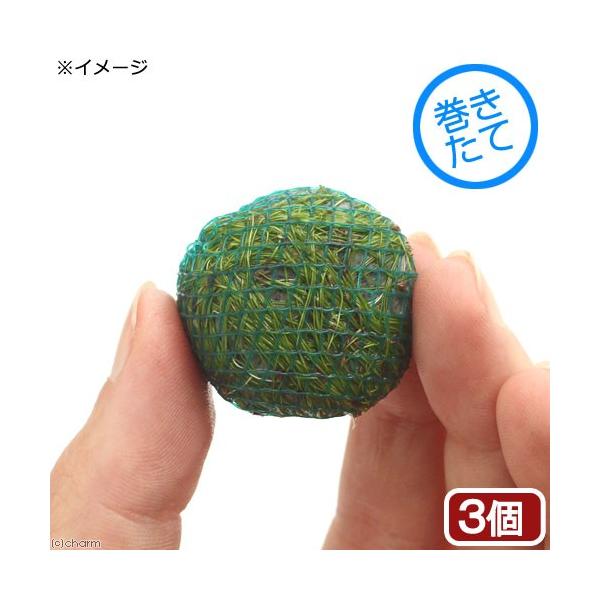 ijā@GIJX@rrp@{[itji_jiRj