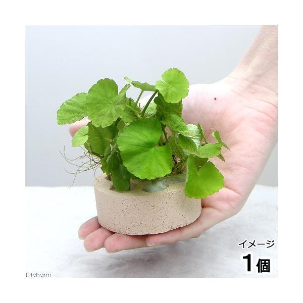 ijnjJVF^[@A}]`hOTitji_jiPj