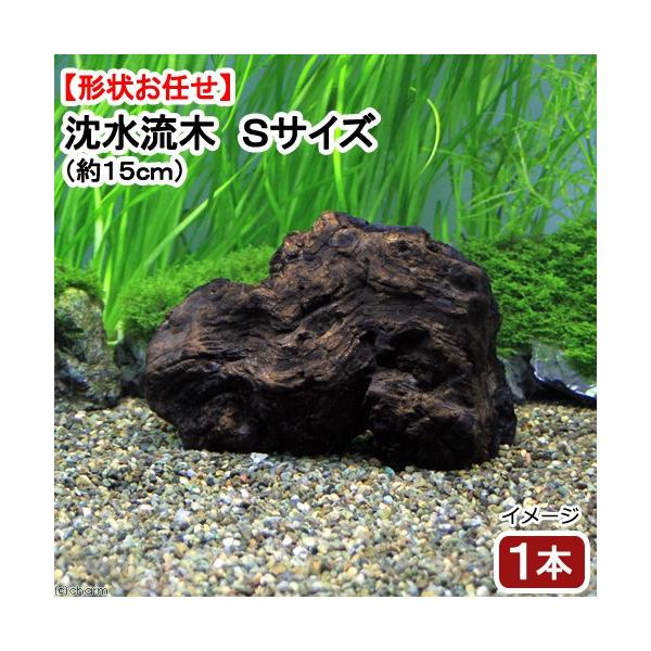 ɒށI@`󂨔C@؁@rTCYiPQ`PXjiP{j