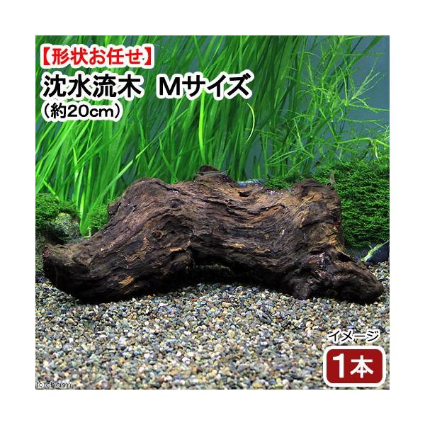 _aqua　kjKPkin　_gardening　アクア用品　流木　石　形状お任せ　ニッソー　自然流木　小　約１０〜２０ｃｍ　１本　レイアウト　素材　おまかせ　nisso　4975638563219　小型　タイ産　天然品　ＹＨ　熱帯魚　NA...