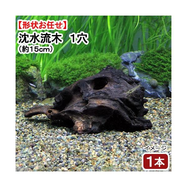 ɒށI@`󂨔C@؂P@iPTj@P{