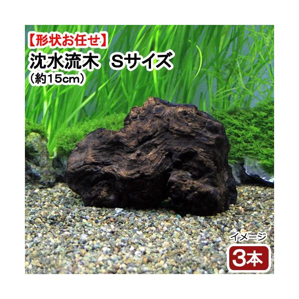 ɒށI@`󂨔C@؂rTCY@iPTj@R{