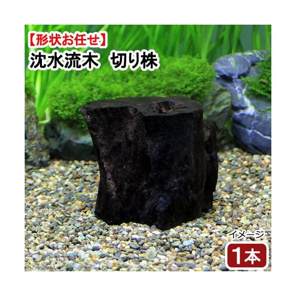 ɒށI@`󂨔C@؁@؂芔@rTCYiT`POOjiP{j