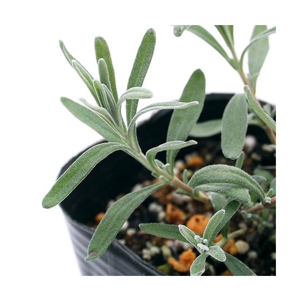 iϗtAjn[uc@x_[@CObV@u[}Ee@RiP|bgj@ƒ؉