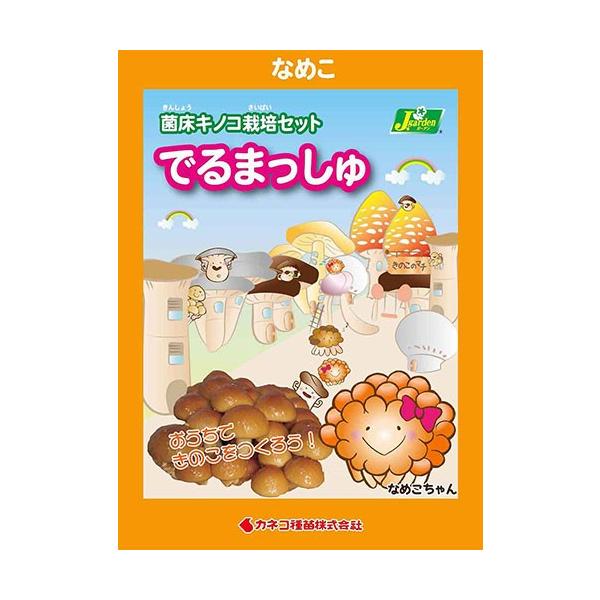 iϗtAĵ͔|Lbg@ł܂@Ȃ߂iPj@ƒ؉