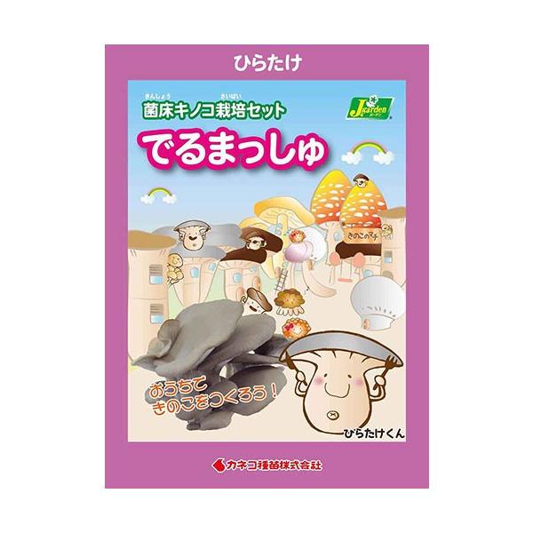 iϗtAĵ͔|Lbg@ł܂@Ђ炽iPj@ƒ؉