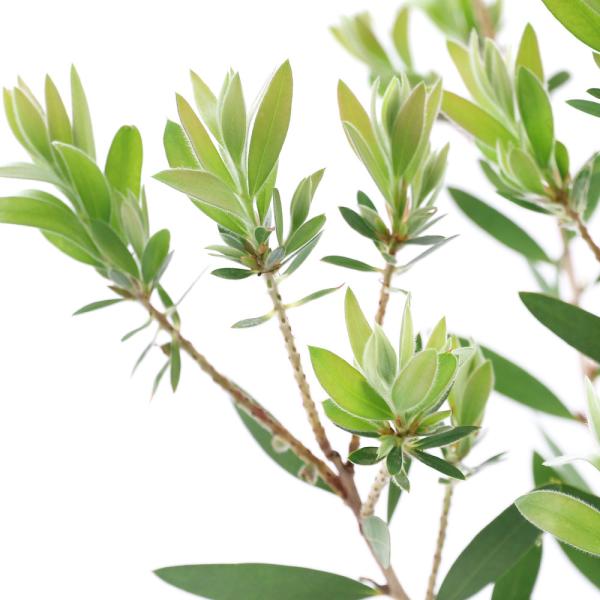 iϗtAjJXe@iLڂȂ@@SDT`TiPj