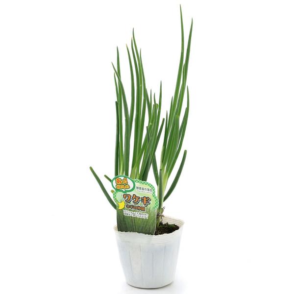 iϗtAjؕc@킯iKj@R`RDTiP|bgj@ƒ؉