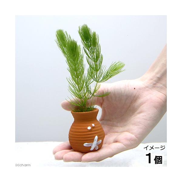 ij^Rc{~j~j@}ci_jiPj_J@@򉻁@Y