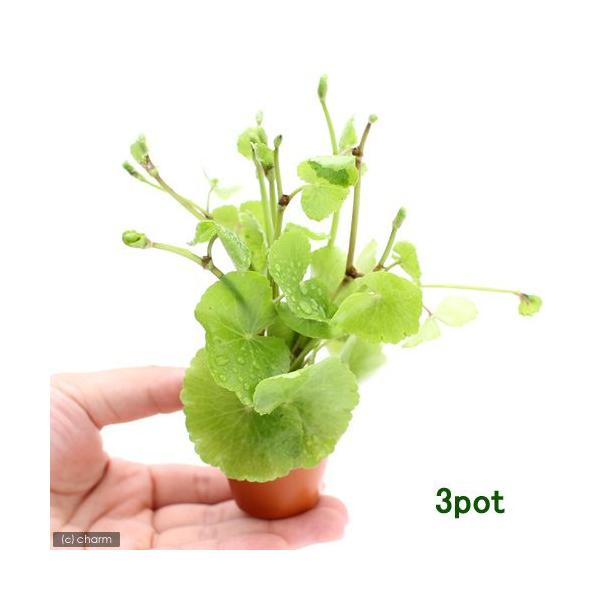 ij~jfĂ@A}]`hOTitji_jiRj